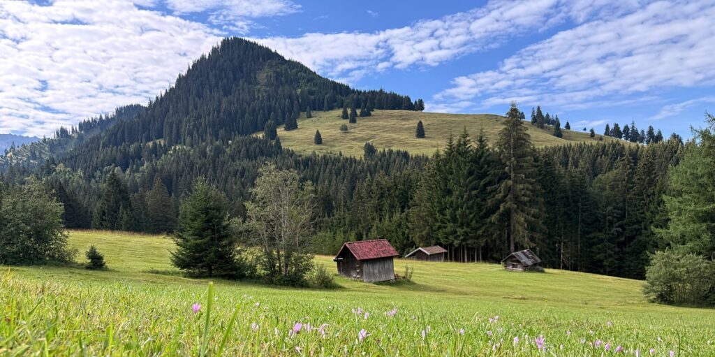 Wandern in Sonthofen im Allgäu – 3 Touren rund um das Hotel Bergsonne Allgäu 1 Urlaub mit Hund im Allgäu
