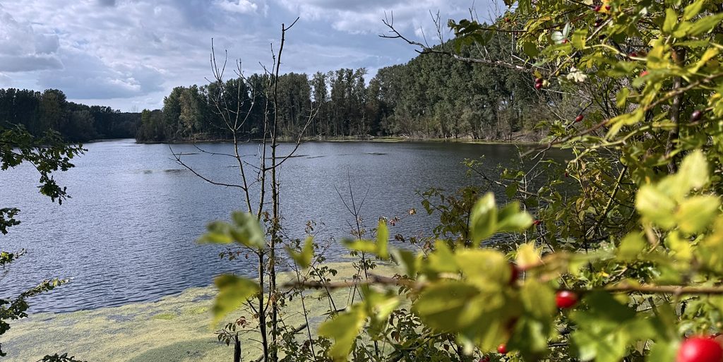 Römer-Lippe-Route: Meine Tipps für eine abwechslungsreiche Radreise durch NRW von Detmold nach Xanten 69 bislicher insel