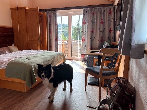 Wandern in Sonthofen im Allgäu – 3 Touren rund um das Hotel Bergsonne Allgäu 3 Hotel Bergsonne Allgäu mit Hund