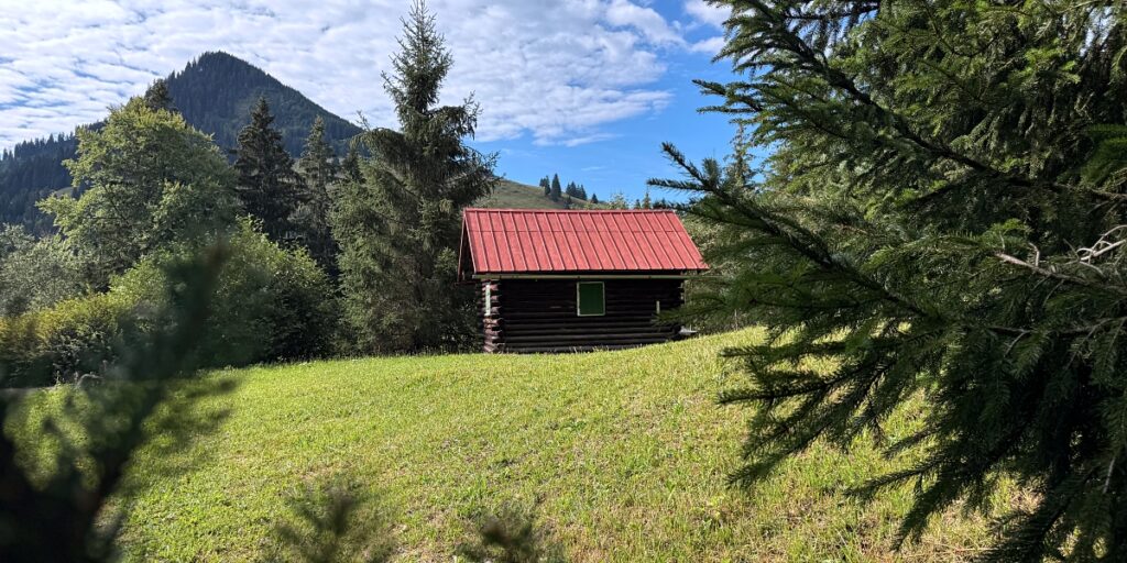 Wandern in Sonthofen im Allgäu – 3 Touren rund um das Hotel Bergsonne Allgäu 19 Wanderung Sonthofen