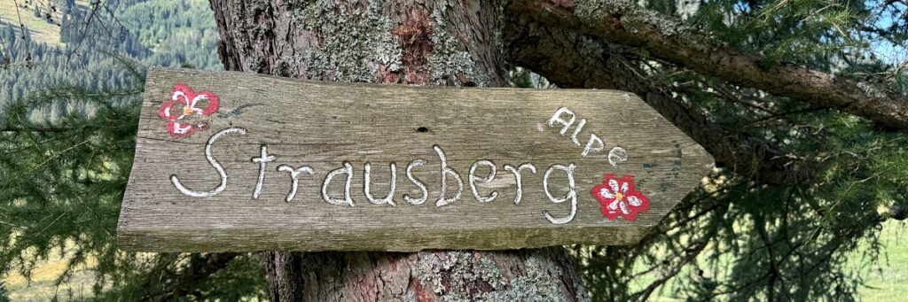 Wandern in Sonthofen im Allgäu – 3 Touren rund um das Hotel Bergsonne Allgäu 24 Wanderung Imberg Strausbergalpe