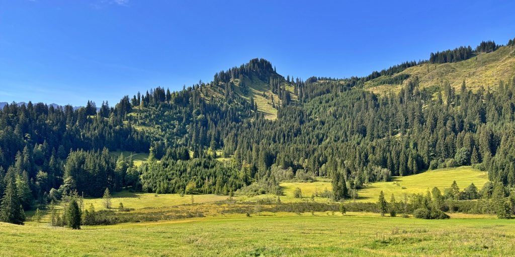 Wandern in Sonthofen im Allgäu – 3 Touren rund um das Hotel Bergsonne Allgäu 20 Wandern in Sonthofen Strausbergmoos Wandern Allgäu