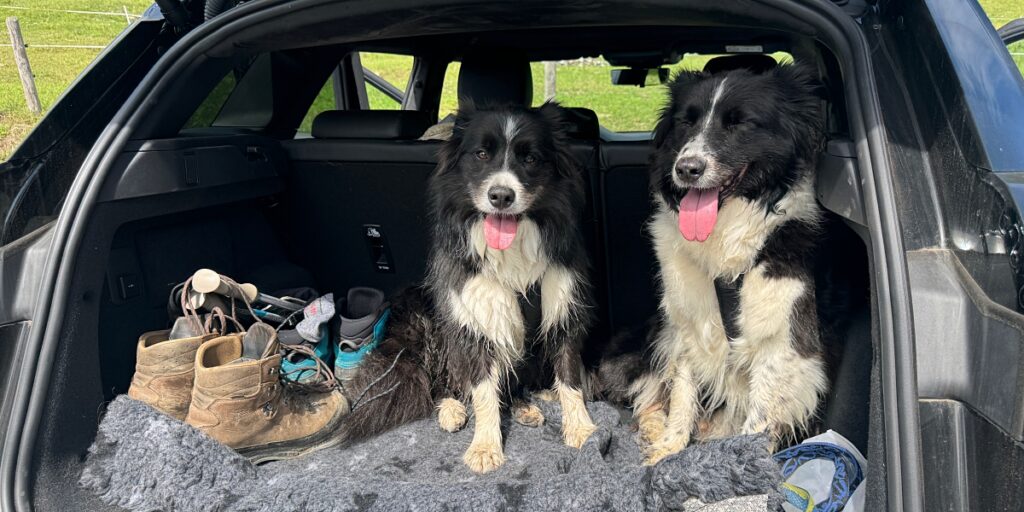 Wandern in Sonthofen im Allgäu – 3 Touren rund um das Hotel Bergsonne Allgäu 44 Urlaub mit Hund in Sonthofen Allgäu
