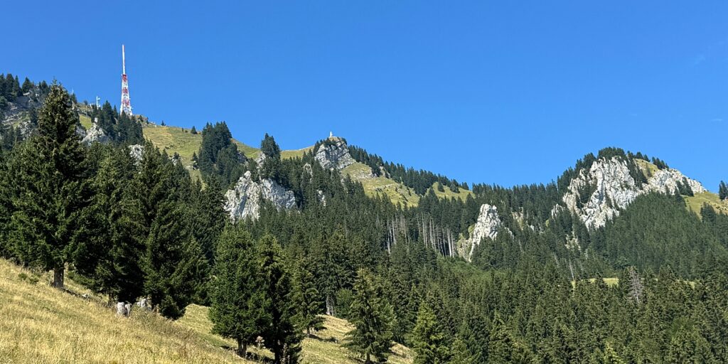 Wandern in Sonthofen im Allgäu – 3 Touren rund um das Hotel Bergsonne Allgäu 29 Wanderung Grünten mit Hund