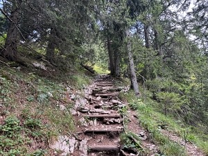 Wandern in Sonthofen im Allgäu – 3 Touren rund um das Hotel Bergsonne Allgäu 36 Wanderung Grünten mit Hund