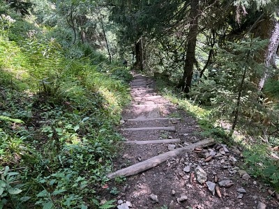 Wandern in Sonthofen im Allgäu – 3 Touren rund um das Hotel Bergsonne Allgäu 41 Wanderung Grünten mit Hund