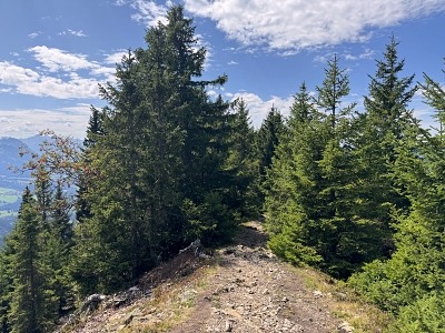 Wandern in Sonthofen im Allgäu – 3 Touren rund um das Hotel Bergsonne Allgäu 40 Wanderung Grünten mit Hund