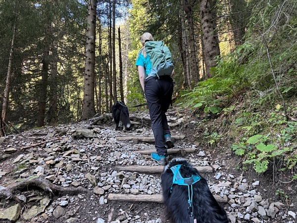 Wandern in Sonthofen im Allgäu – 3 Touren rund um das Hotel Bergsonne Allgäu 30 Wanderung Grünten mit Hund
