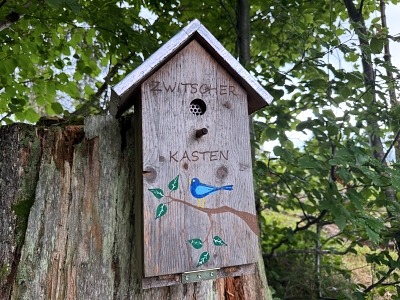 Wandern in Sonthofen im Allgäu – 3 Touren rund um das Hotel Bergsonne Allgäu 17 Wanderung Sonthofen Löwenbachtobel