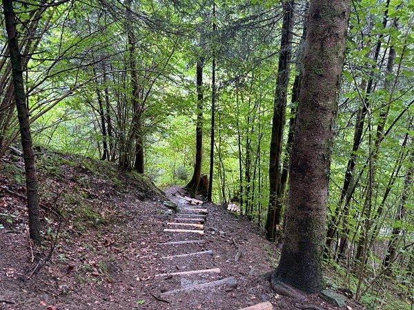 Wandern in Sonthofen im Allgäu – 3 Touren rund um das Hotel Bergsonne Allgäu 10 Wanderung Sonthofen Löwenbachtobel