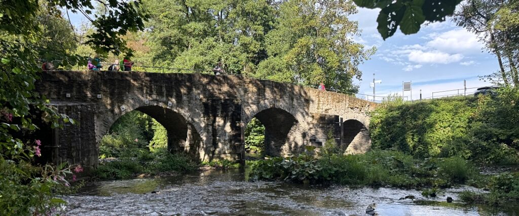Wandern Westerwaldsteig Druidensteig