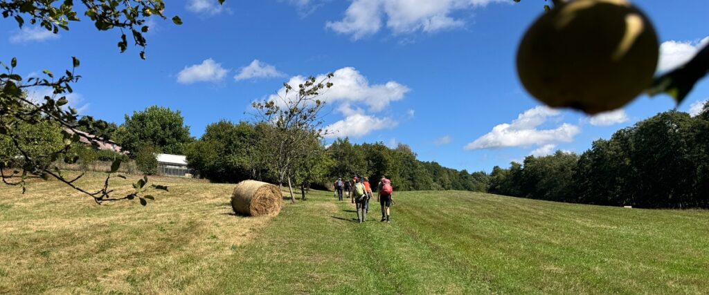 Wandern im Westerwald