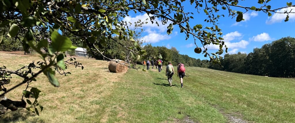 Wandern im Westerwald