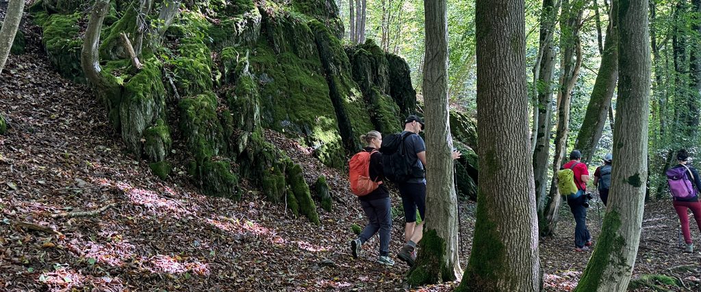 Wandergruppe auf einem Waldpfad neben moosbewachsenen Felsen im Westerwald