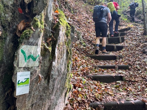 Nistertal WesterwaldSteig Wandern im Westerwald