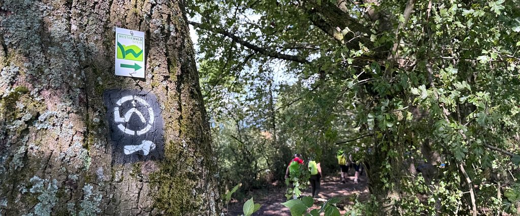 westerwaldsteig druidensteig
