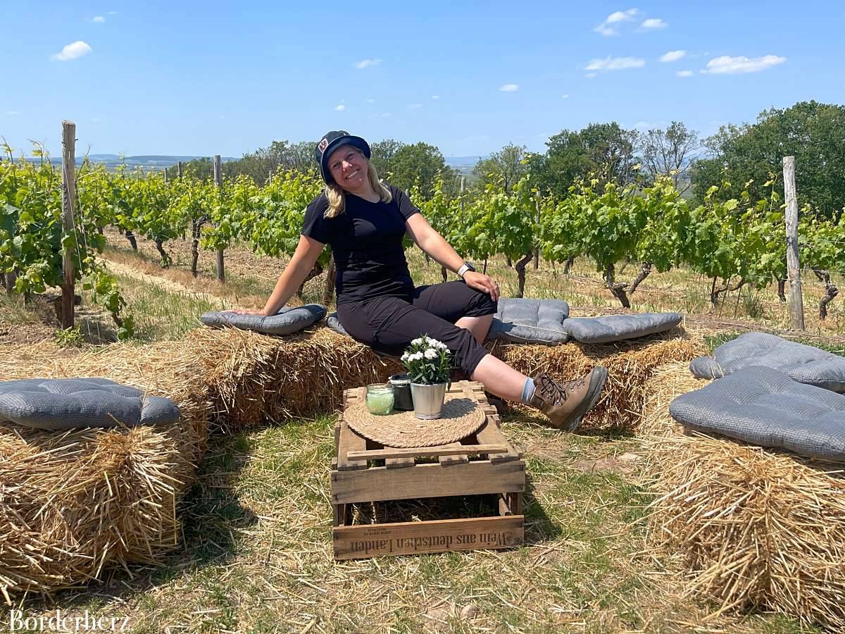 hiwweltour rheinhessen header